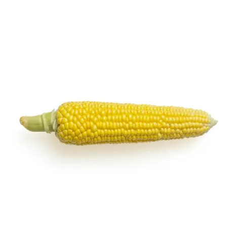 Fotografía de elote